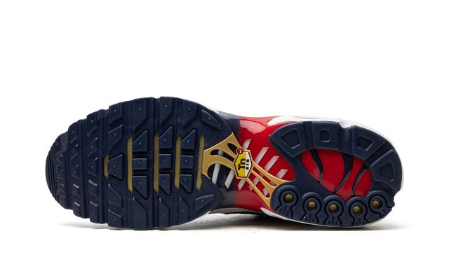 Air Max TN Plus PSG Keesef
