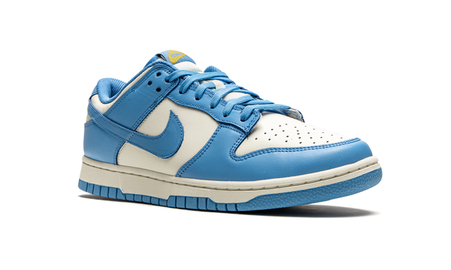 Nike Dunk Low Coast