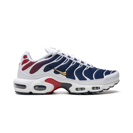 Air Max TN Plus PSG Keesef 