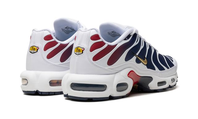Air Max TN Plus PSG Keesef 