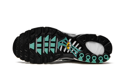 Nike Air Max Plus Atmos