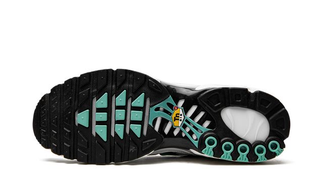 Nike Air Max Plus Atmos Keesef 