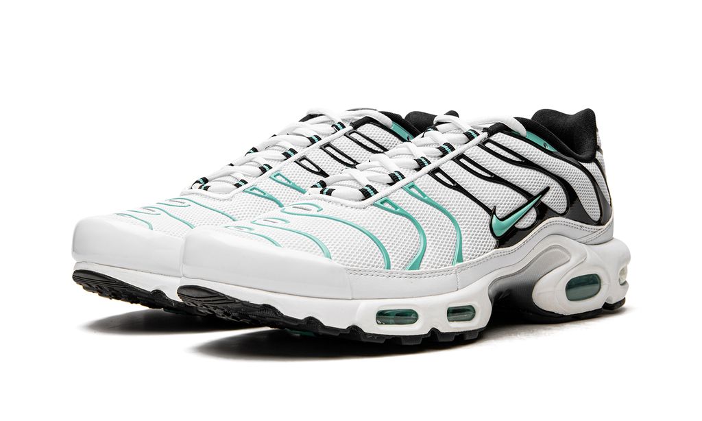 Nike Air Max Plus Atmos Keesef 