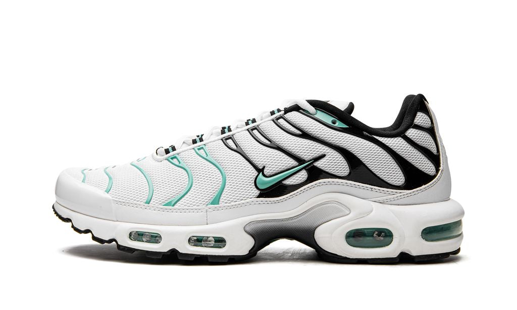 Nike Air Max Plus Atmos Keesef 