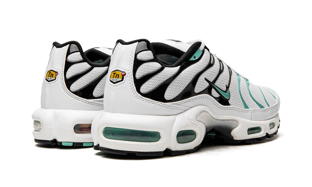 Nike Air Max Plus Atmos Keesef 
