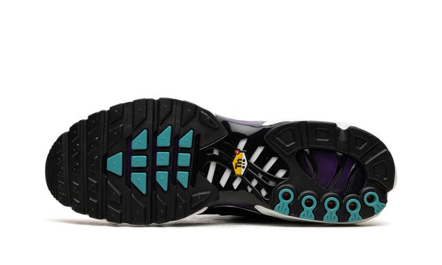 Nike Air Max Plus Reverse Grape Keesef 