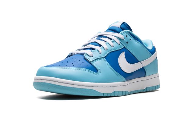 Nike Dunk Low Argon Keesef 