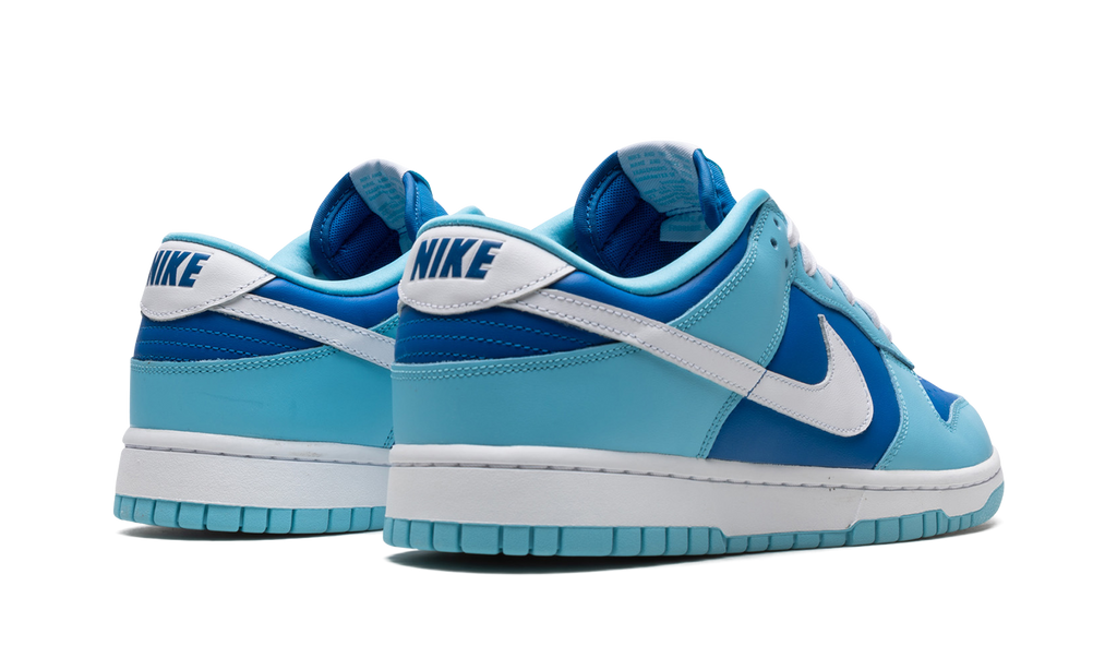 Nike Dunk Low Retro Argon