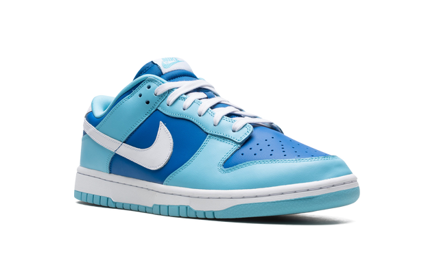 Nike Dunk Low Argon